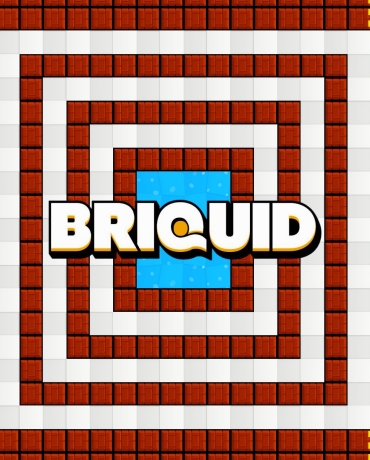 Briquid