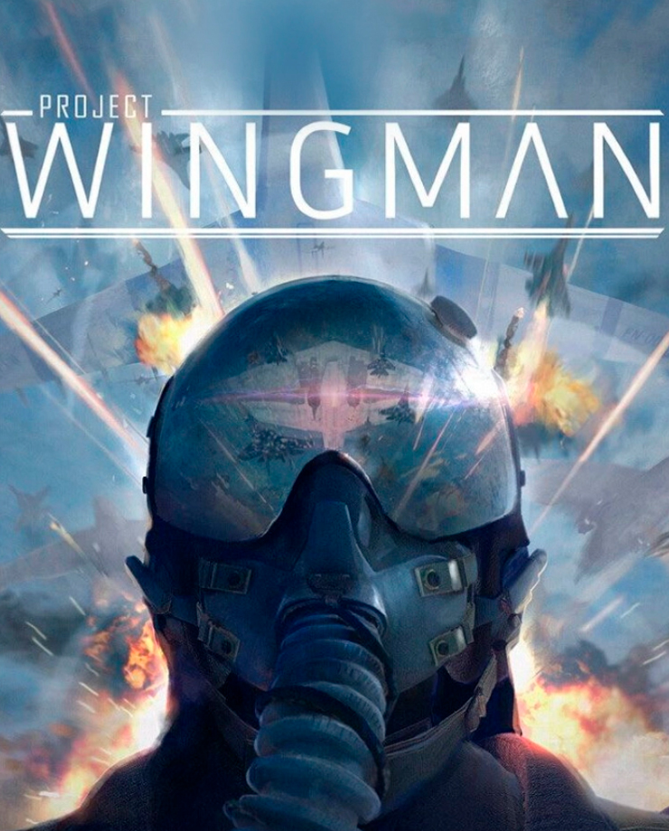 

Игра для PC Project Wingman