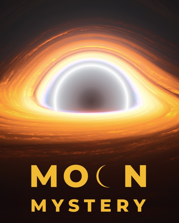 

Игра для PC Moon Mystery