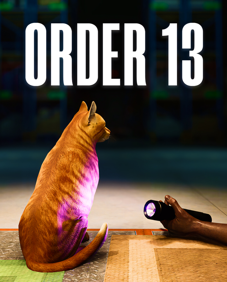 

Игра для PC ORDER 13
